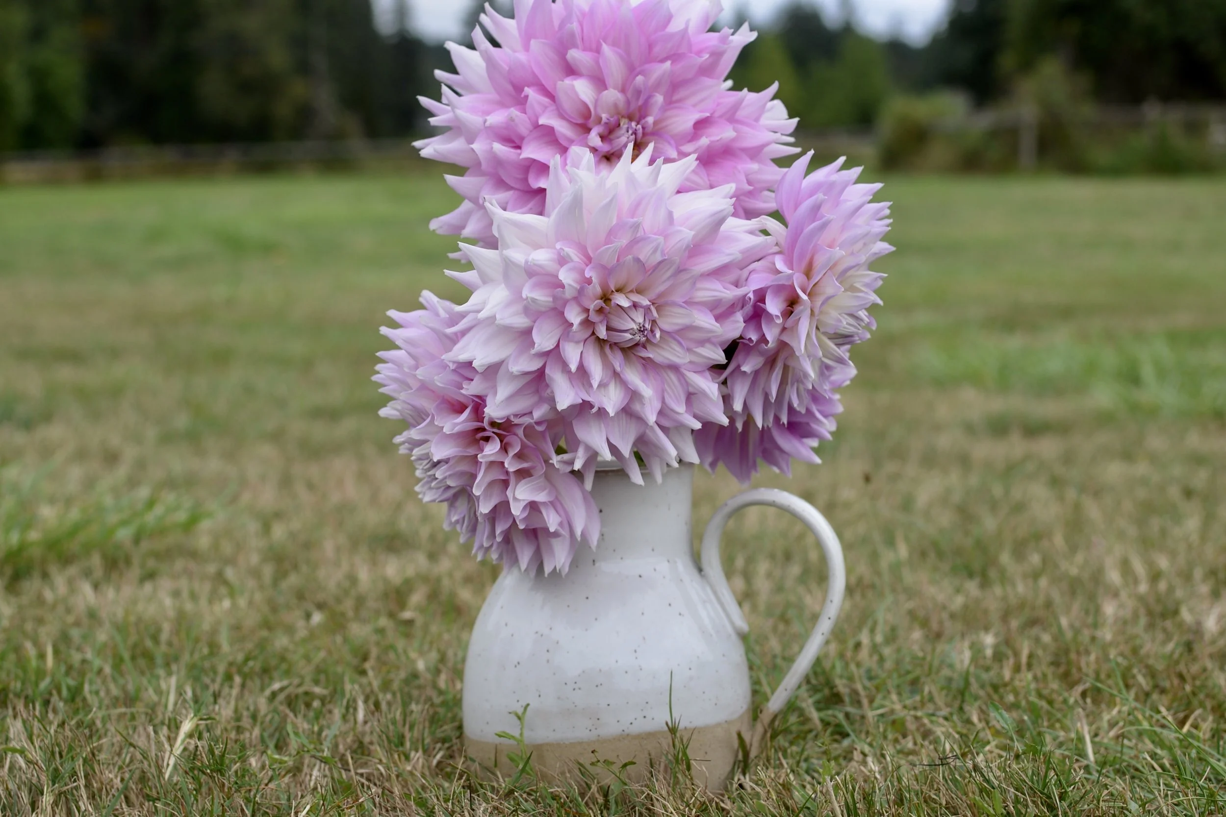 Ferncliff Inspiration