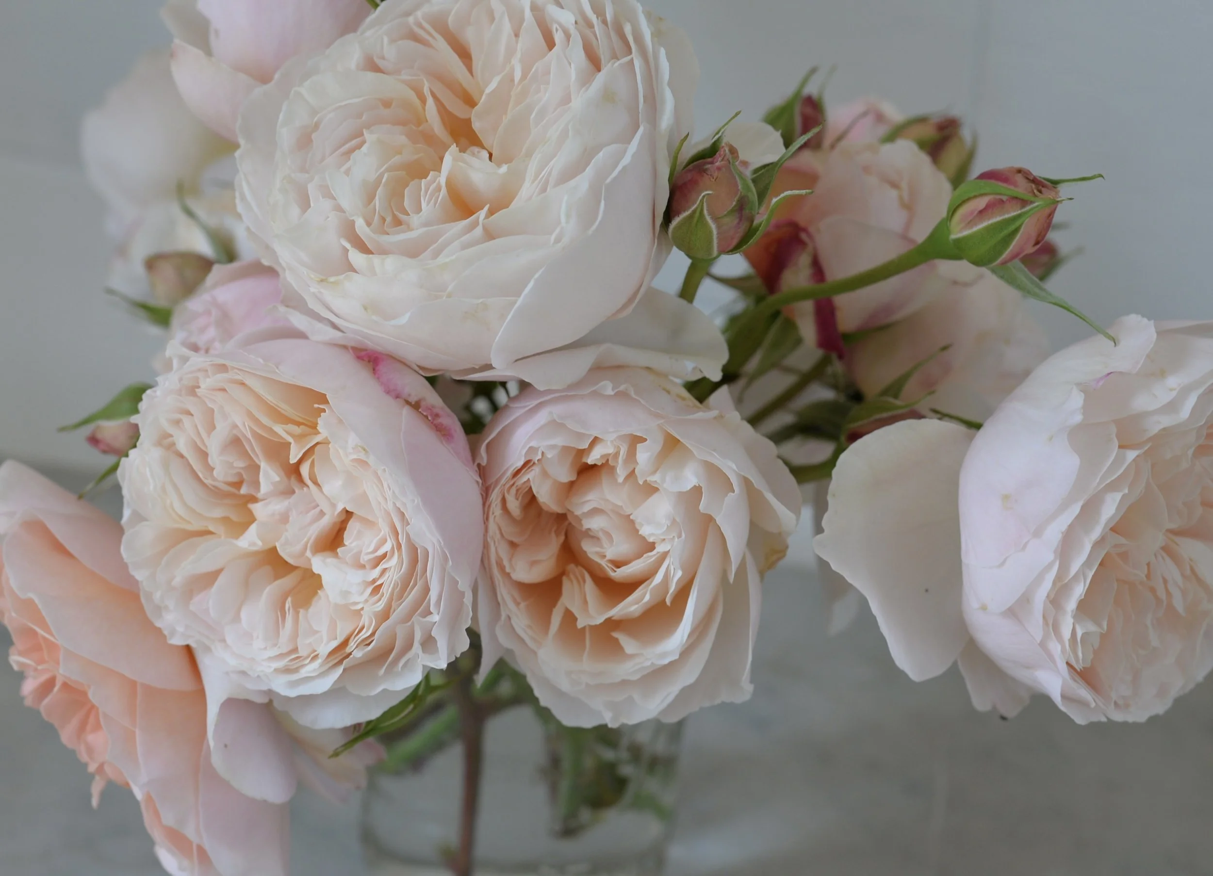 Monthly Musings - June 2023