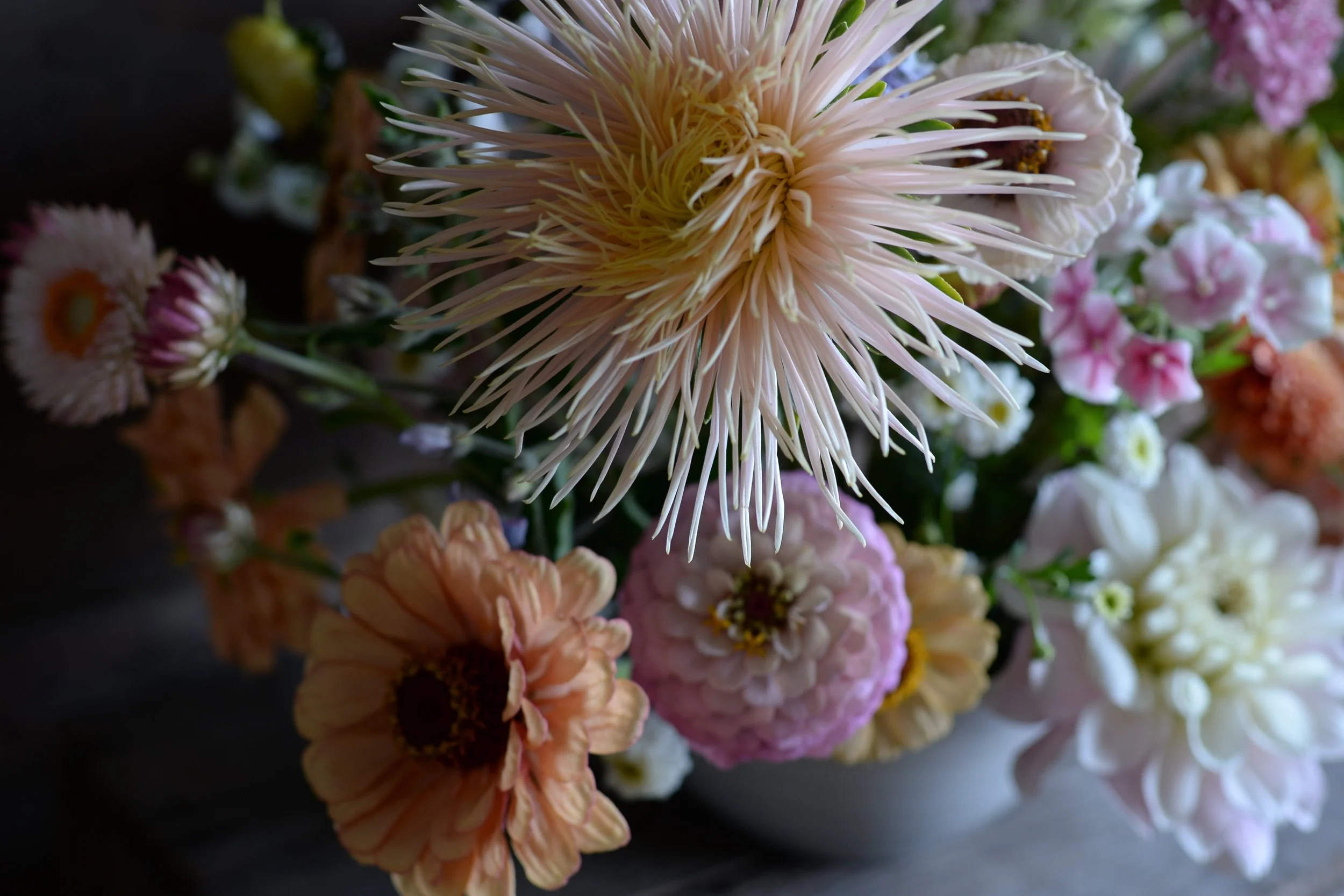 Monthly Musings - August 2024