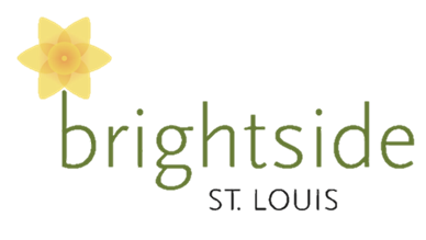 Brightside Logo No Background.png
