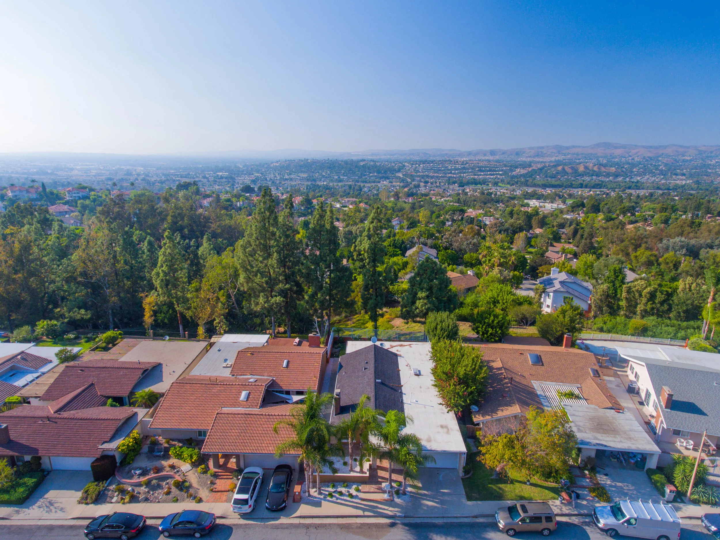 DJI_0008.jpg