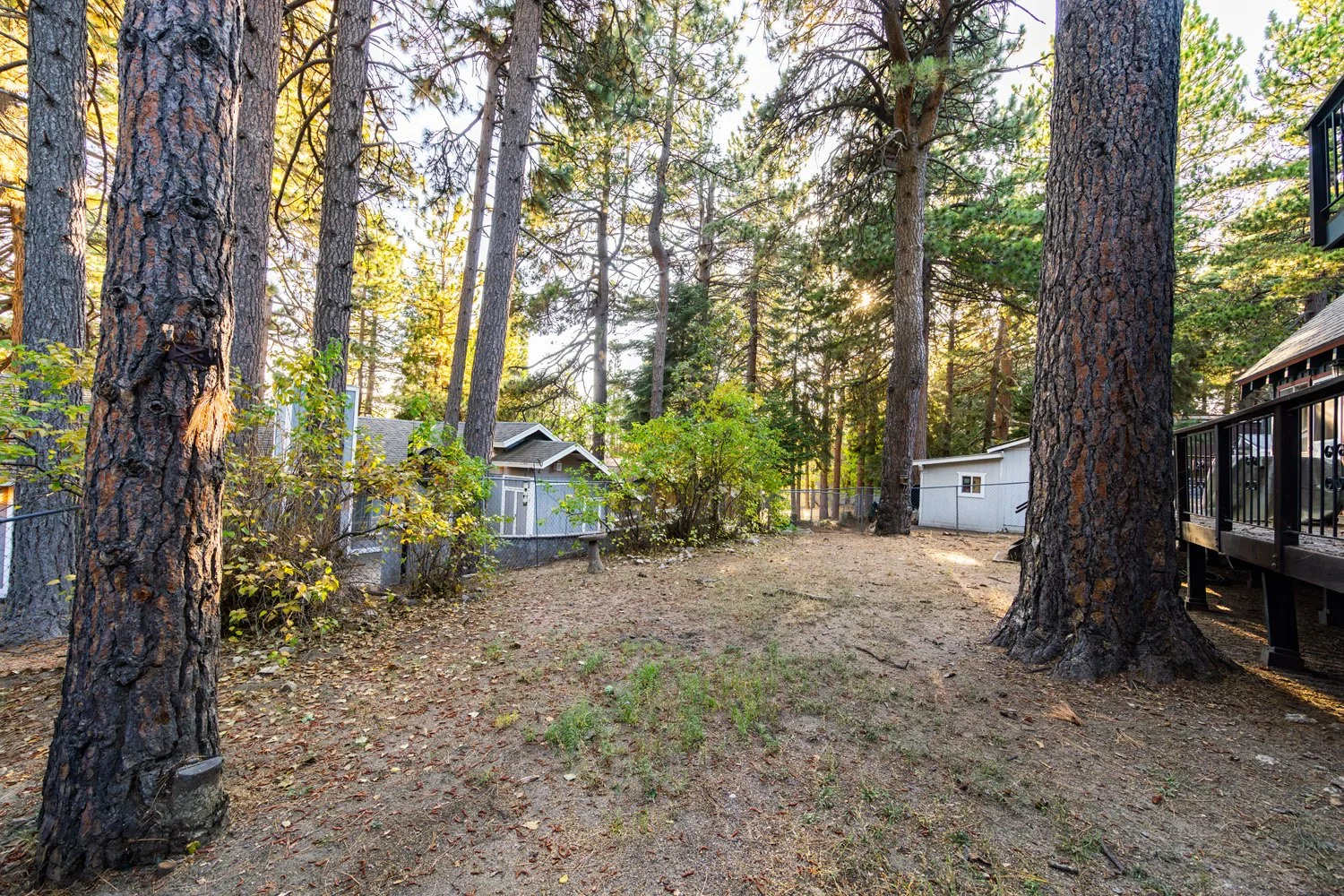 31459 Onacrest Dr 1517.jpg