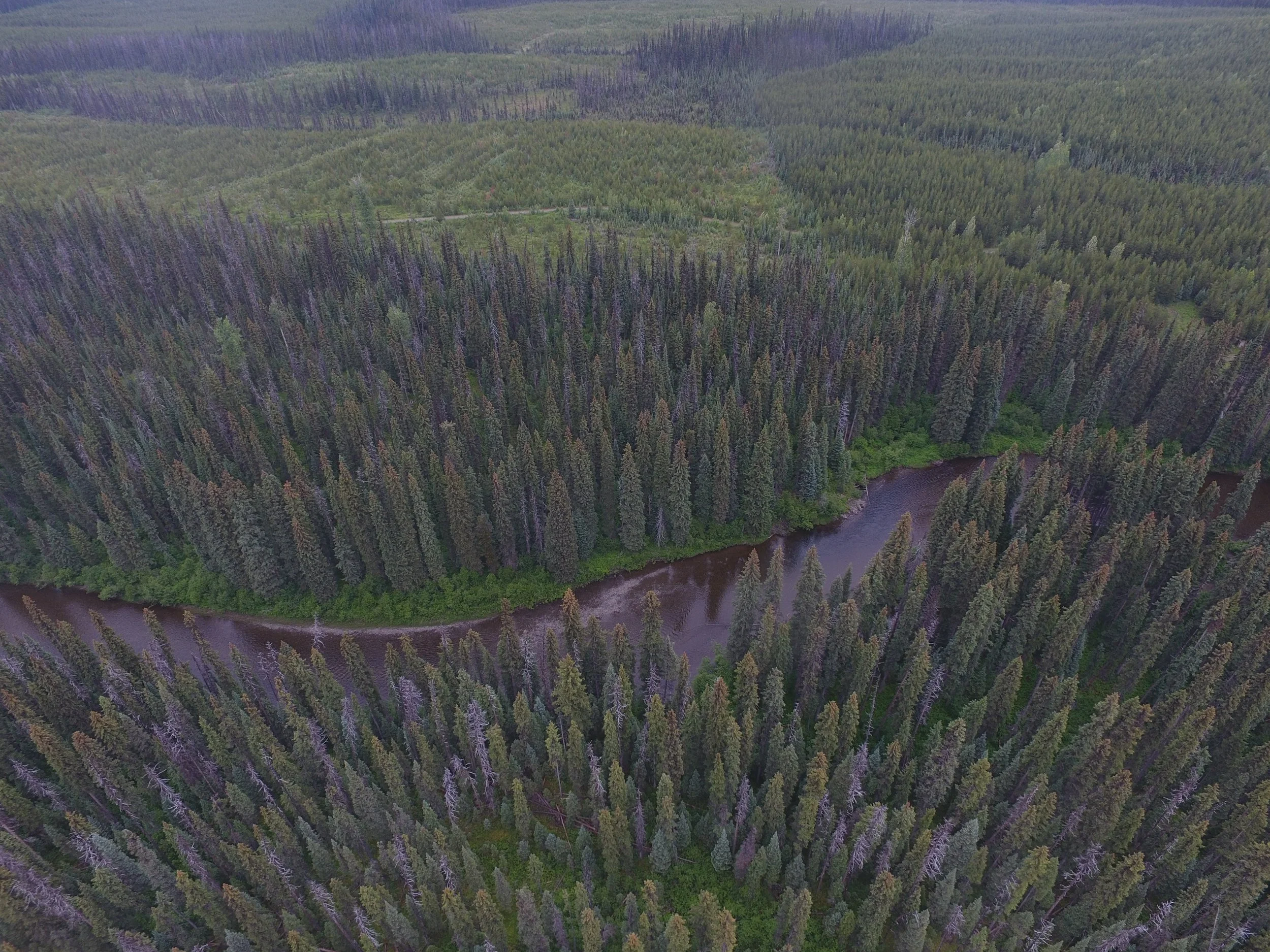 swiftwater river