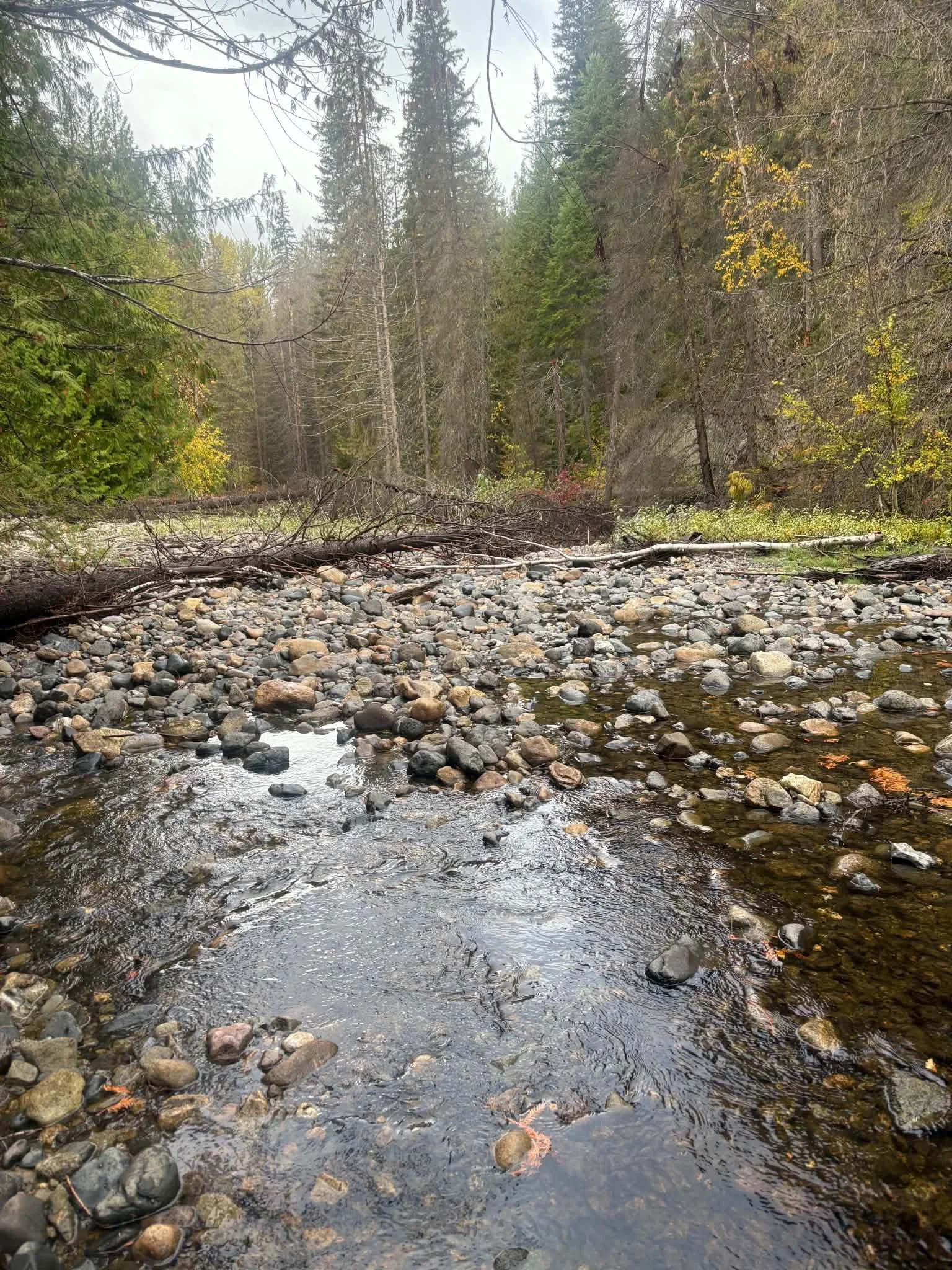 c9232339-99d4-47be-8c4f-fd292825f41e.jpeg