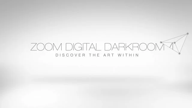 FORMS+SURFACES // ZOOM DIGITAL DARKROOM