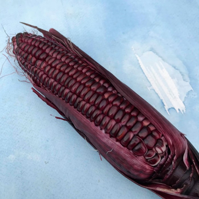 HV corn double red.jpg