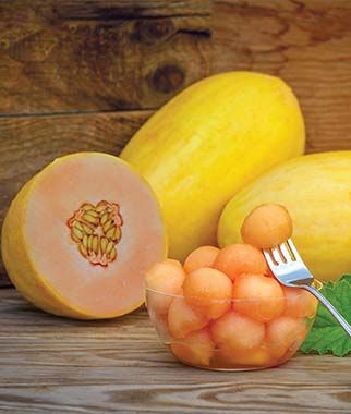 Burpee melon Mango.jpg