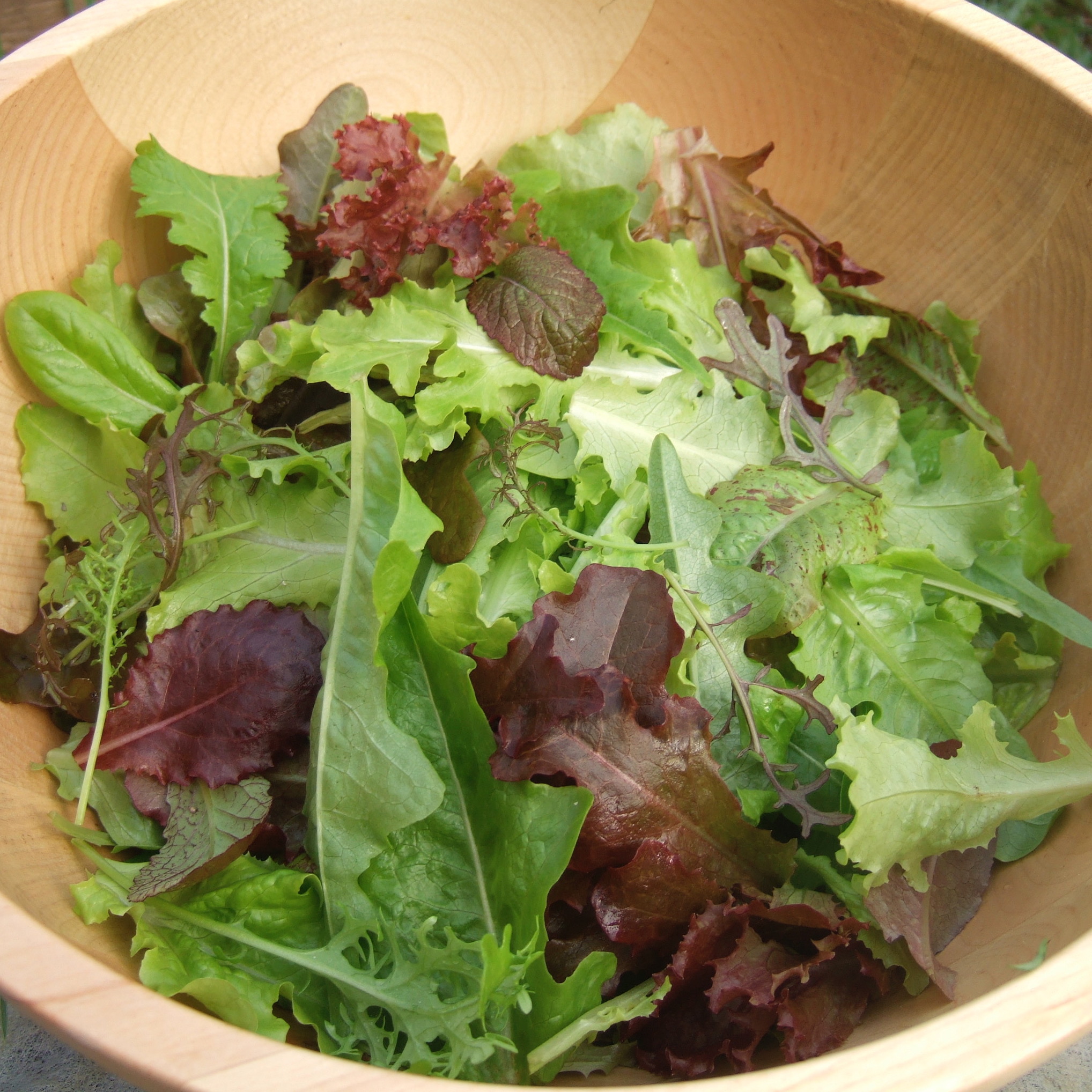 Salad greens.jpg