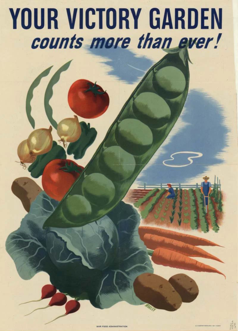 Victory-garden WW2.jpg