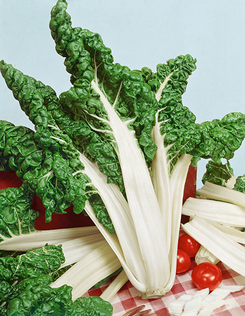 Fordhook-Giant-Swiss-Chard NESeeds.jpg