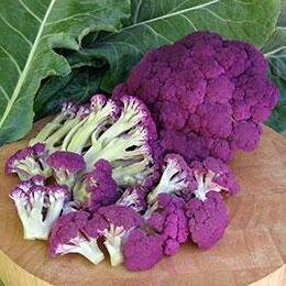 cauliflower-purple-crush Renees.jpg