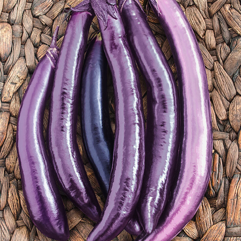 eggplant Ping Tung long.jpg
