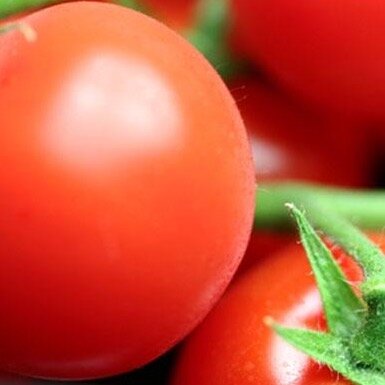 Tomato Polar-Beauty bestcoolseeds.jpg