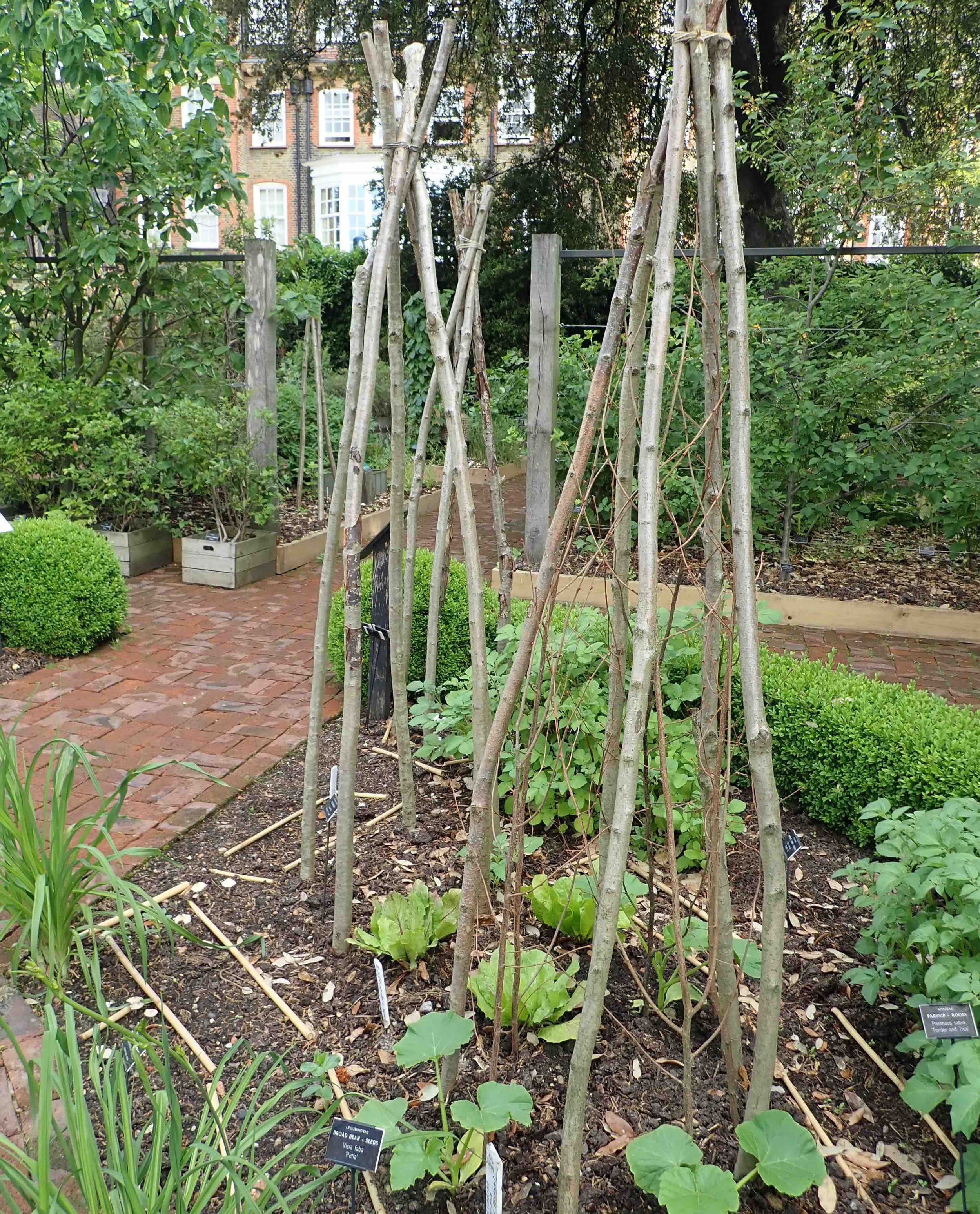 twig tower for cucumbers.jpg
