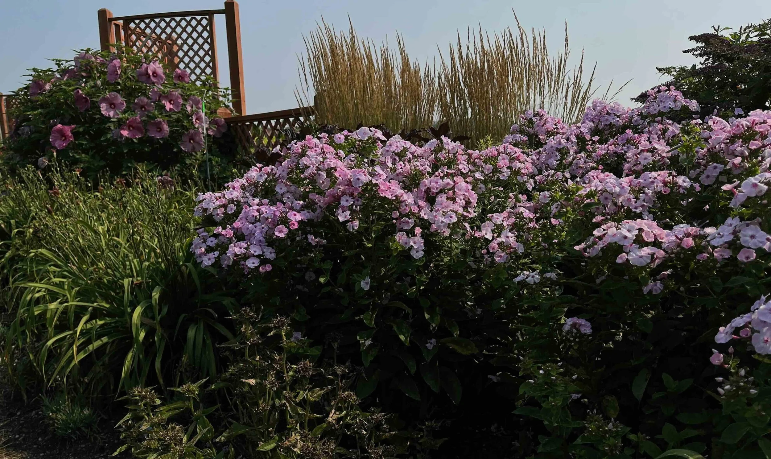 YWalters Display garden 3.jpeg