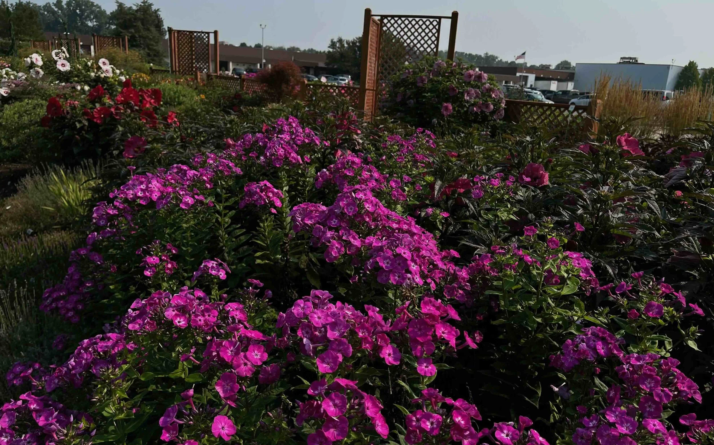 YWalters Display garden 2.jpeg