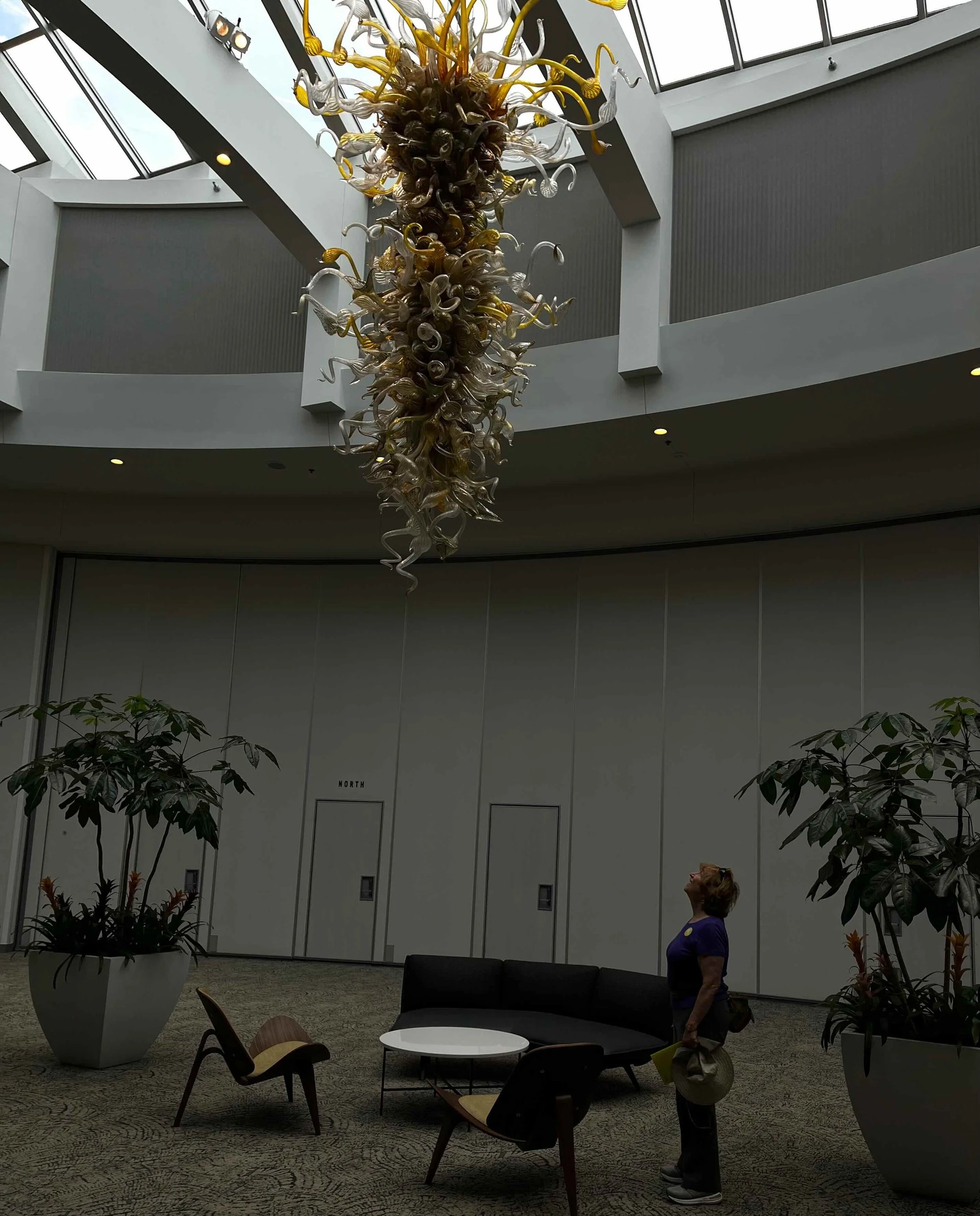 YFrederick  Meijer Chihuly.jpeg