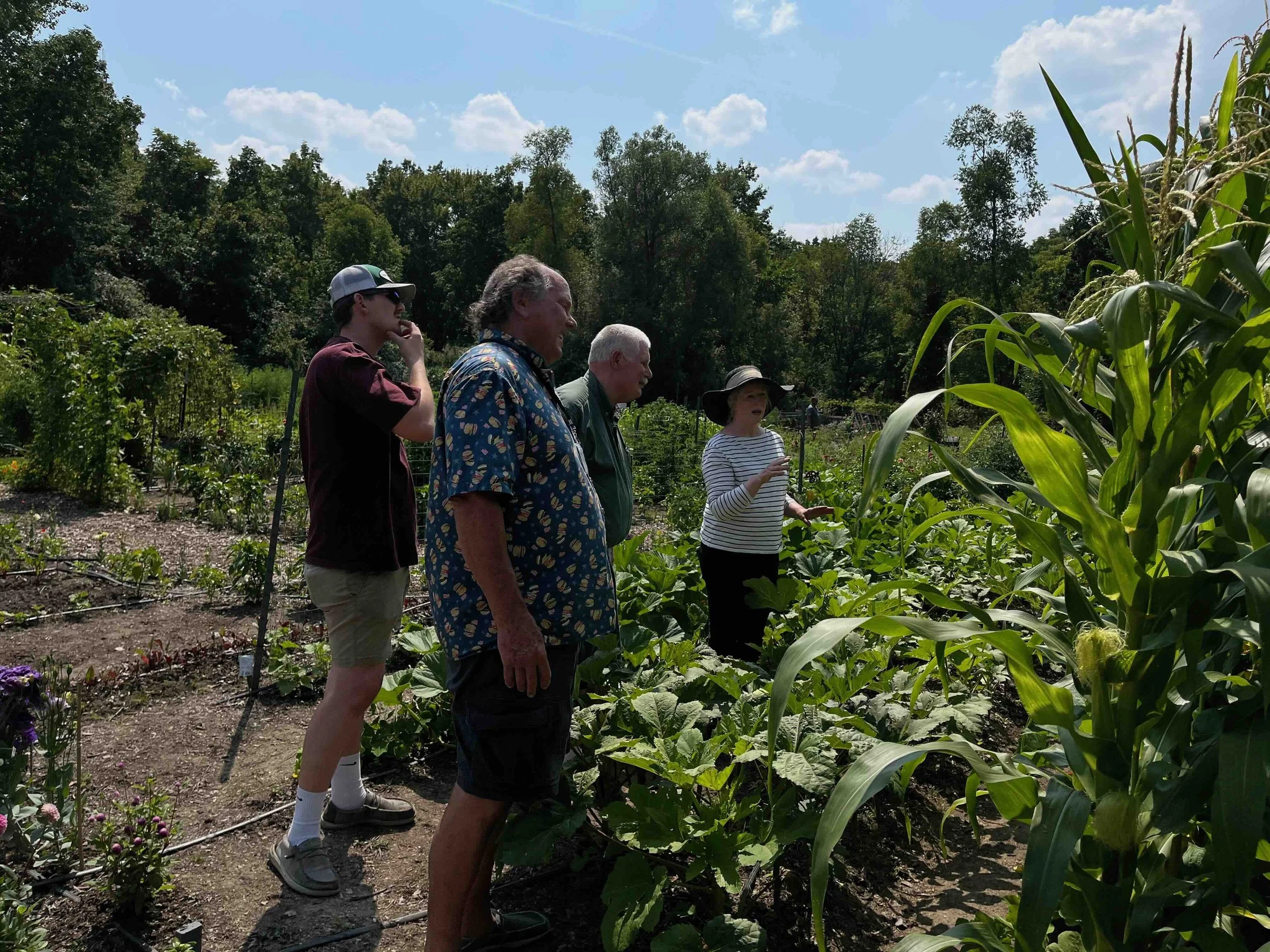 YCommunity garden 4.jpeg