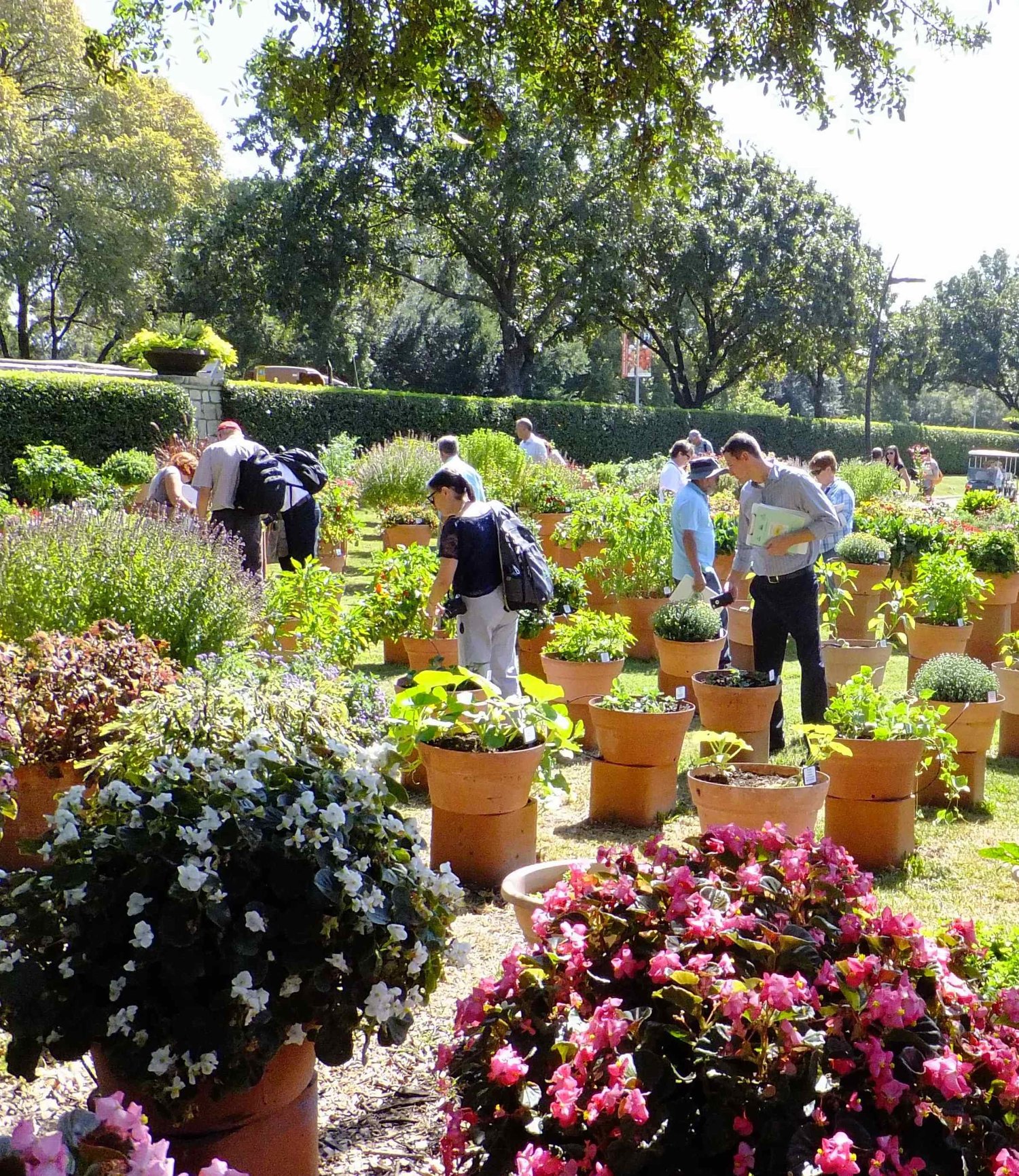 Who We Are — Home Garden Seed Association