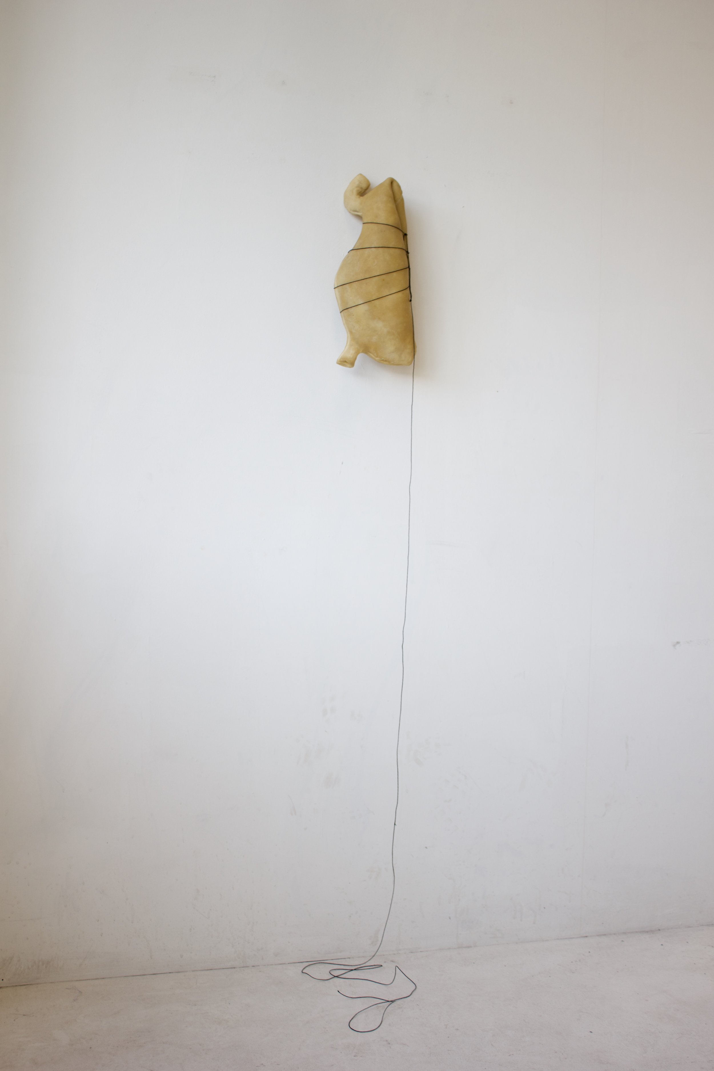 fullsizeoutput_1e82.jpeg