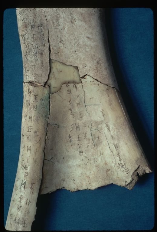 shang-dynasty-oracle-bone-520264394-57aa859e3df78cf459d9af3e.jpg