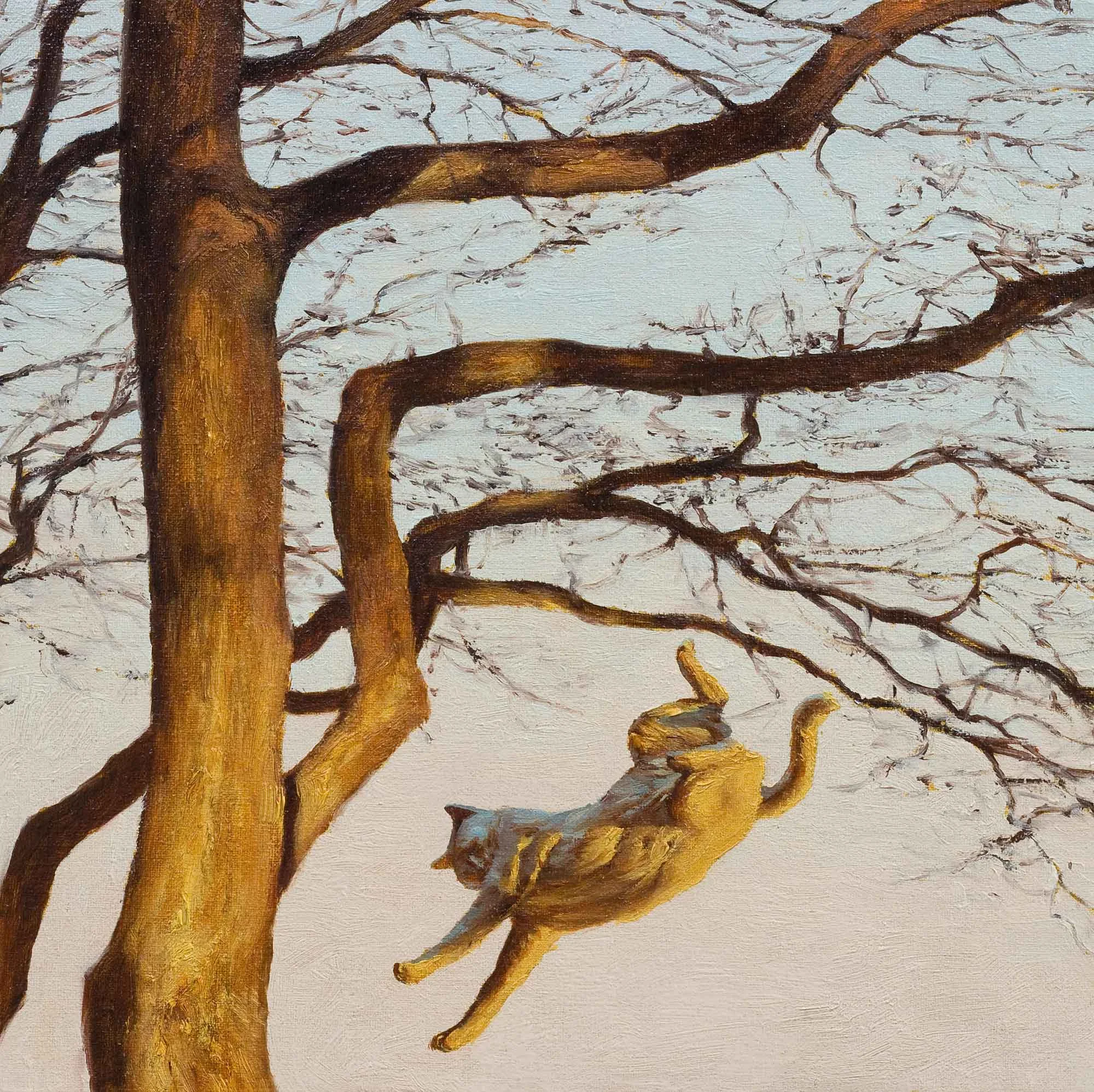 Untitled (falling cat)