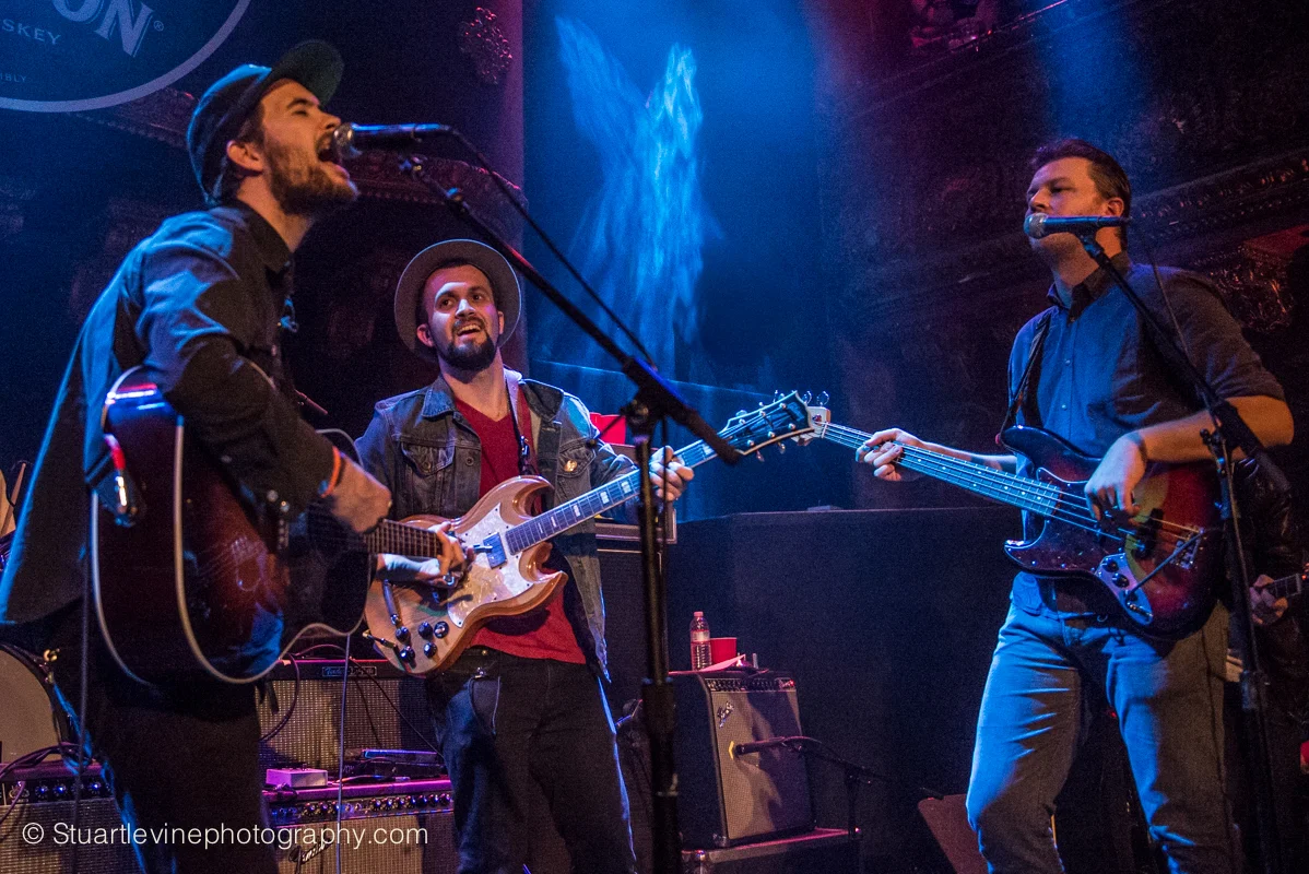 Elvis Perkins