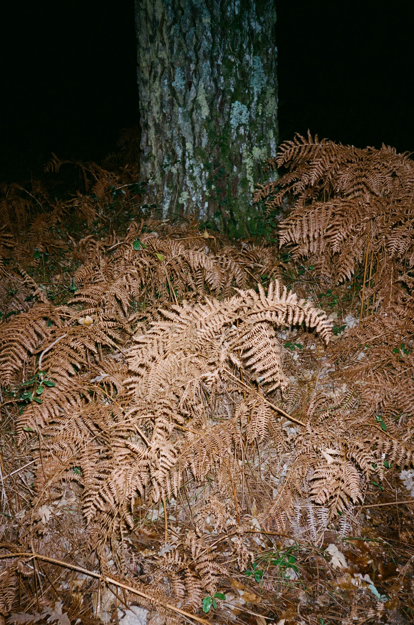 05870026 copy.jpg