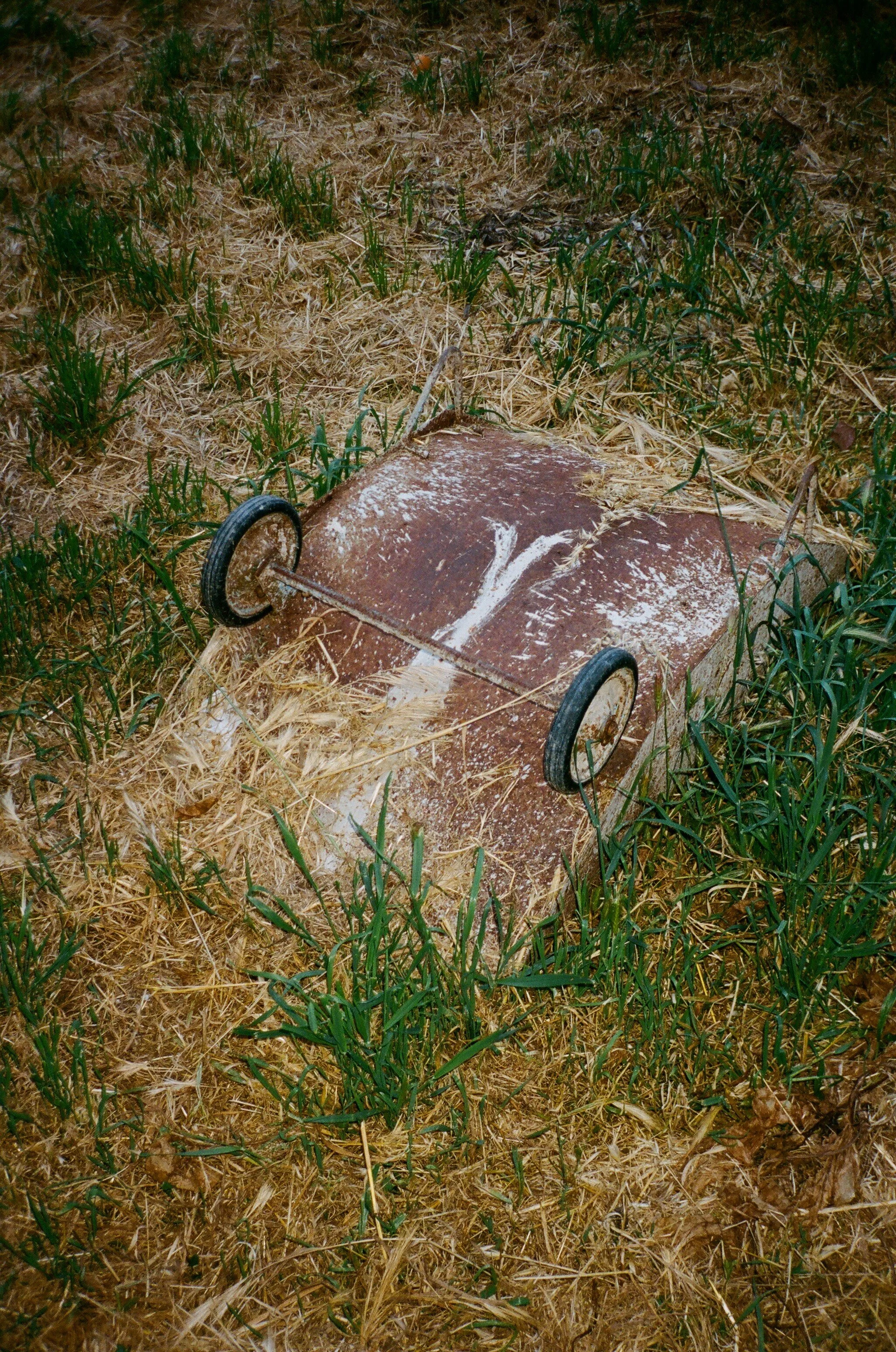 03120032.JPG