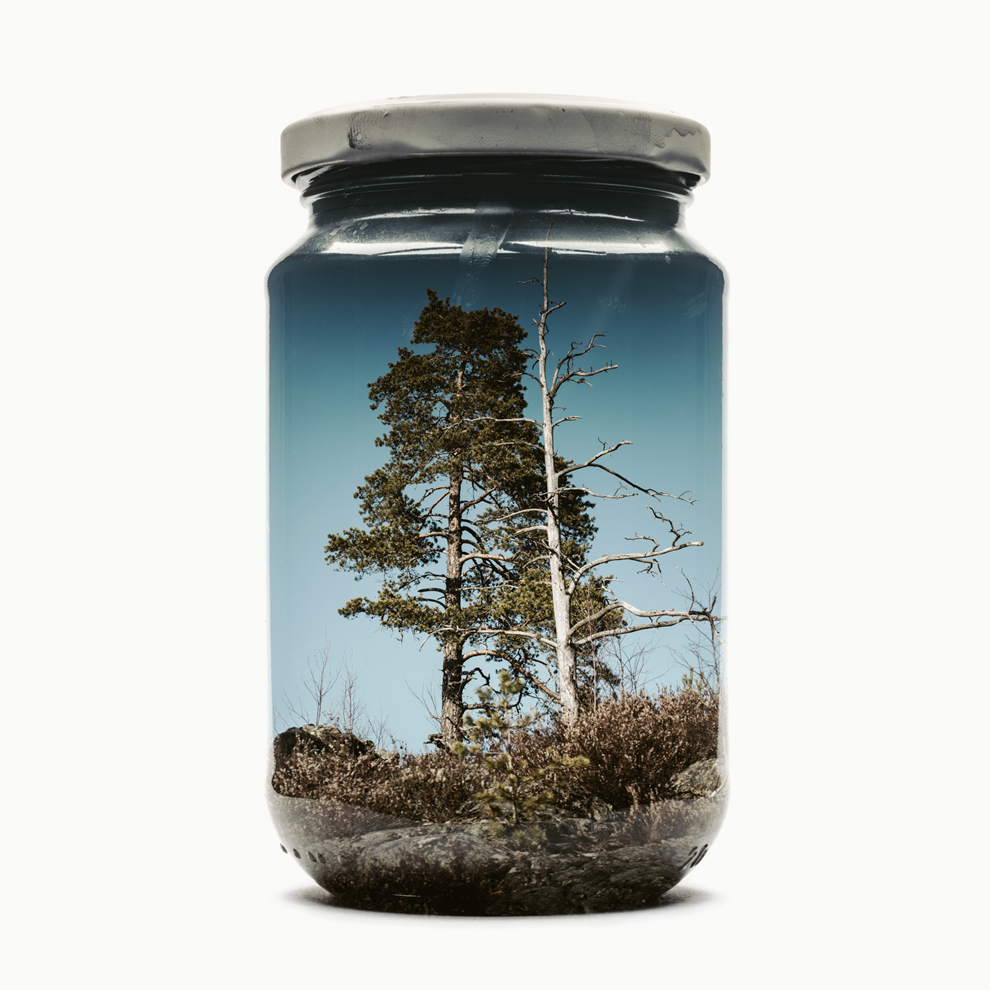 jarredcoupleofpinesrelander_1024x1024@2x.png