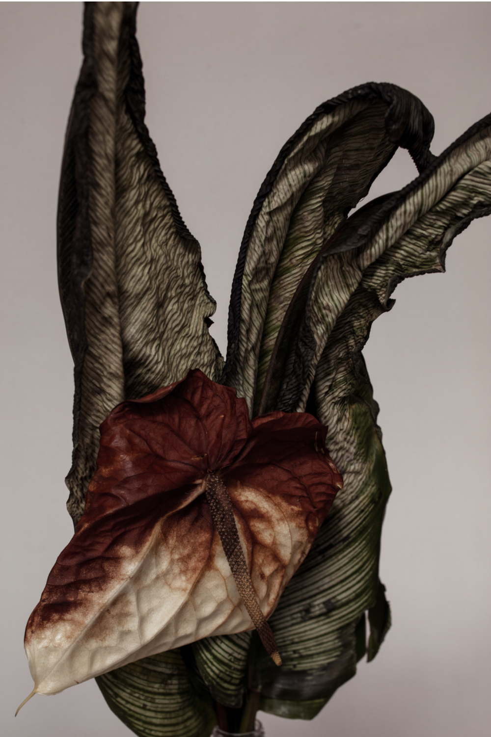 Screenshot 2019-11-26 13.44.19.png