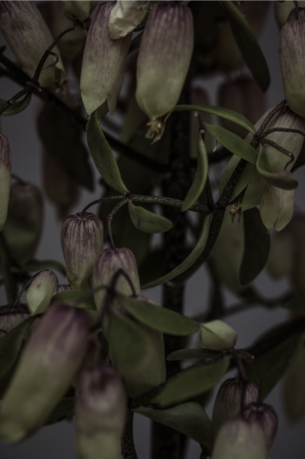 Screenshot 2019-11-26 13.44.26.png