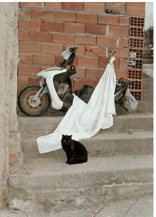 Skjermbilde 2022-05-30 kl. 02.45.48.png