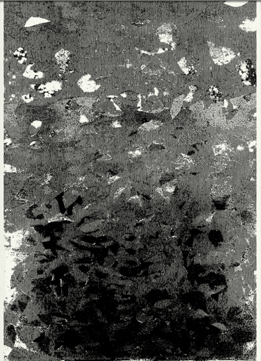 Skjermbilde 2022-05-30 kl. 02.54.26.png