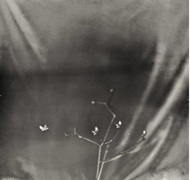 Skjermbilde 2022-05-30 kl. 02.59.21.png