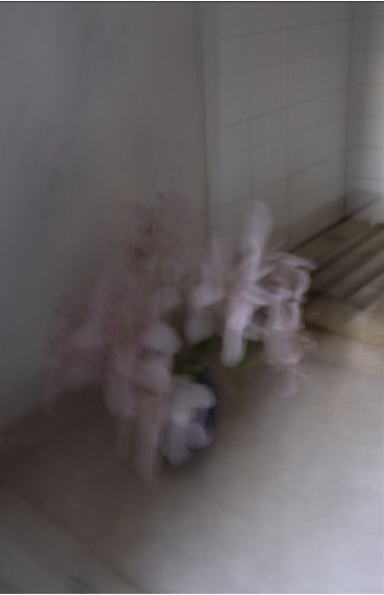 Skjermbilde 2022-05-30 kl. 03.09.23.png