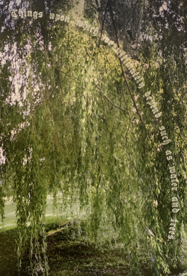 Skjermbilde 2022-05-30 kl. 03.37.49.png