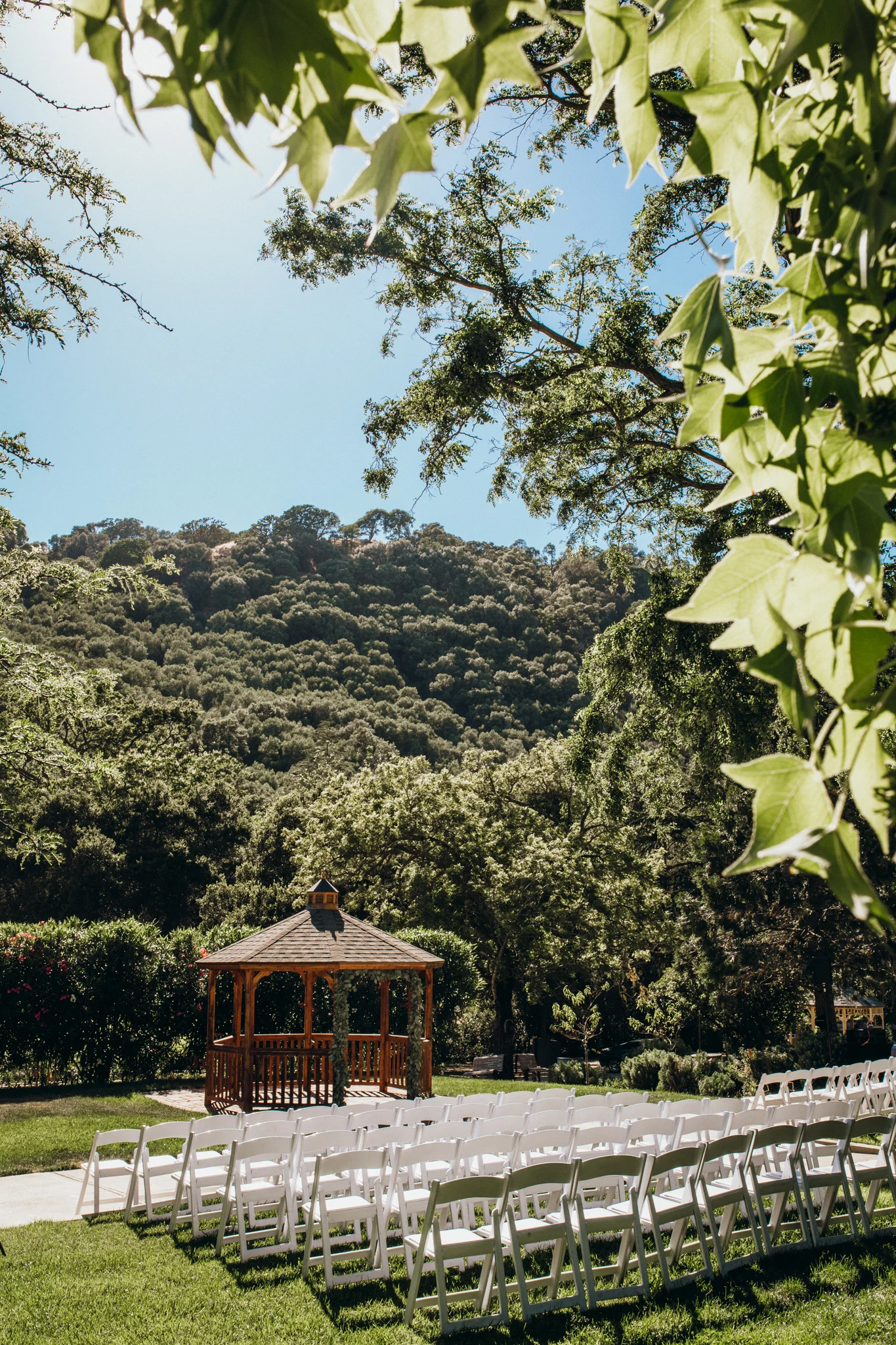 Wedding Elliston Vineyard Sunol.jpg