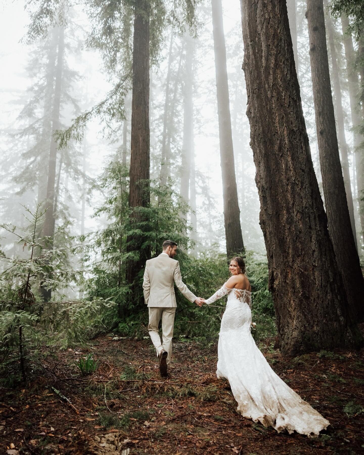 &ldquo;It&rsquo;s like raaaain on your wedding day&rdquo; 

This weather reminds me of this unforgettable day last spring at @nestldownevents . Emma &amp; Shane flew across the country to get married in the Redwoods and no amount of rain could stop t