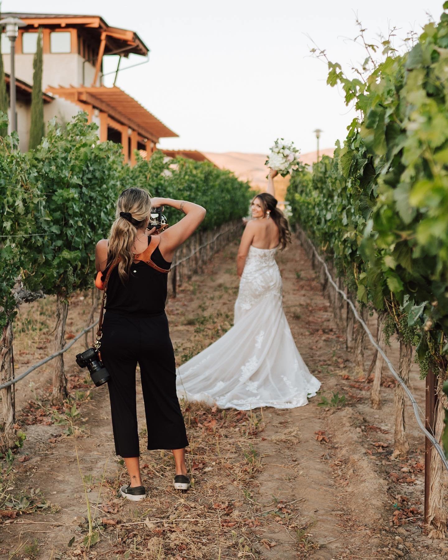 BTS of portraits in the vineyards! I have soo many weddings I have never shared from previous years. During my time off I&rsquo;ve been looking through and gathering up some to post and blog about! 

This wedding was July 2022 with some of my favorit