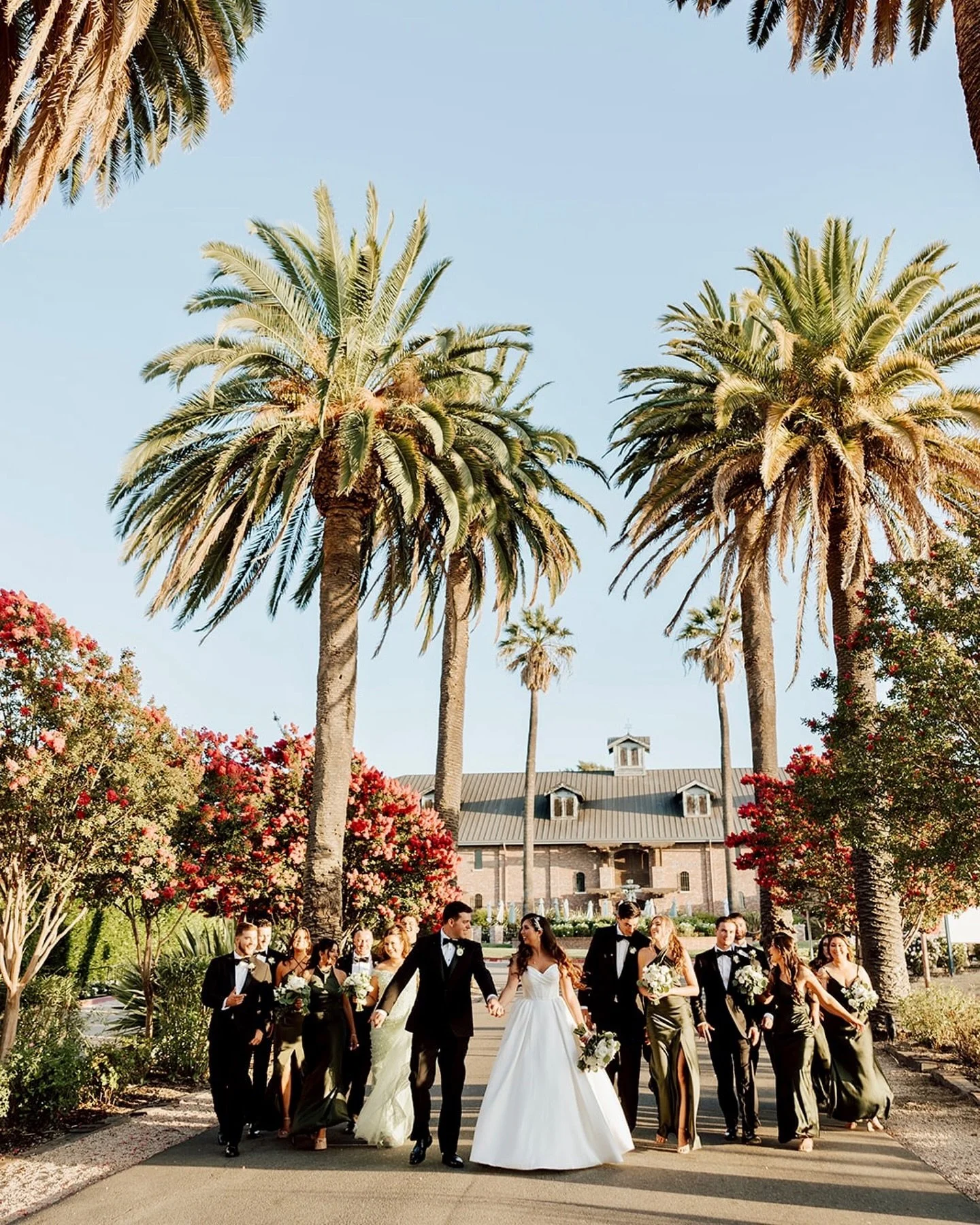 Sneak peeks from Sabrina &amp; Cole&rsquo;s EPIC day at @palmeventcenter 🤩 

-
Photography: @nicolaleighphoto
HMU: @makeupbymirav 
Floral: @delfordwestflowers 
Dress: @jaimebridal 
Venue: @palmeventcenter 
Video: @azfilmcompany 

#palmeventcenter #c