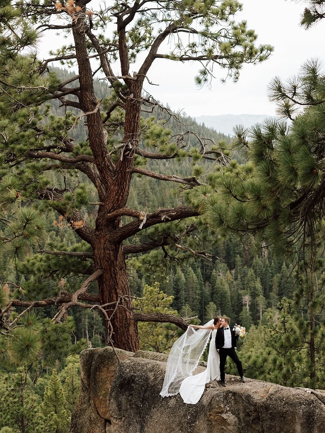 Something so special about Tahoe in the summer 🌲✨

-
@nicolaleigh.photo 
@tahoeblueestate 
@chefyummyfixins 
@tahoebridalbeauty 
@twinefloralco