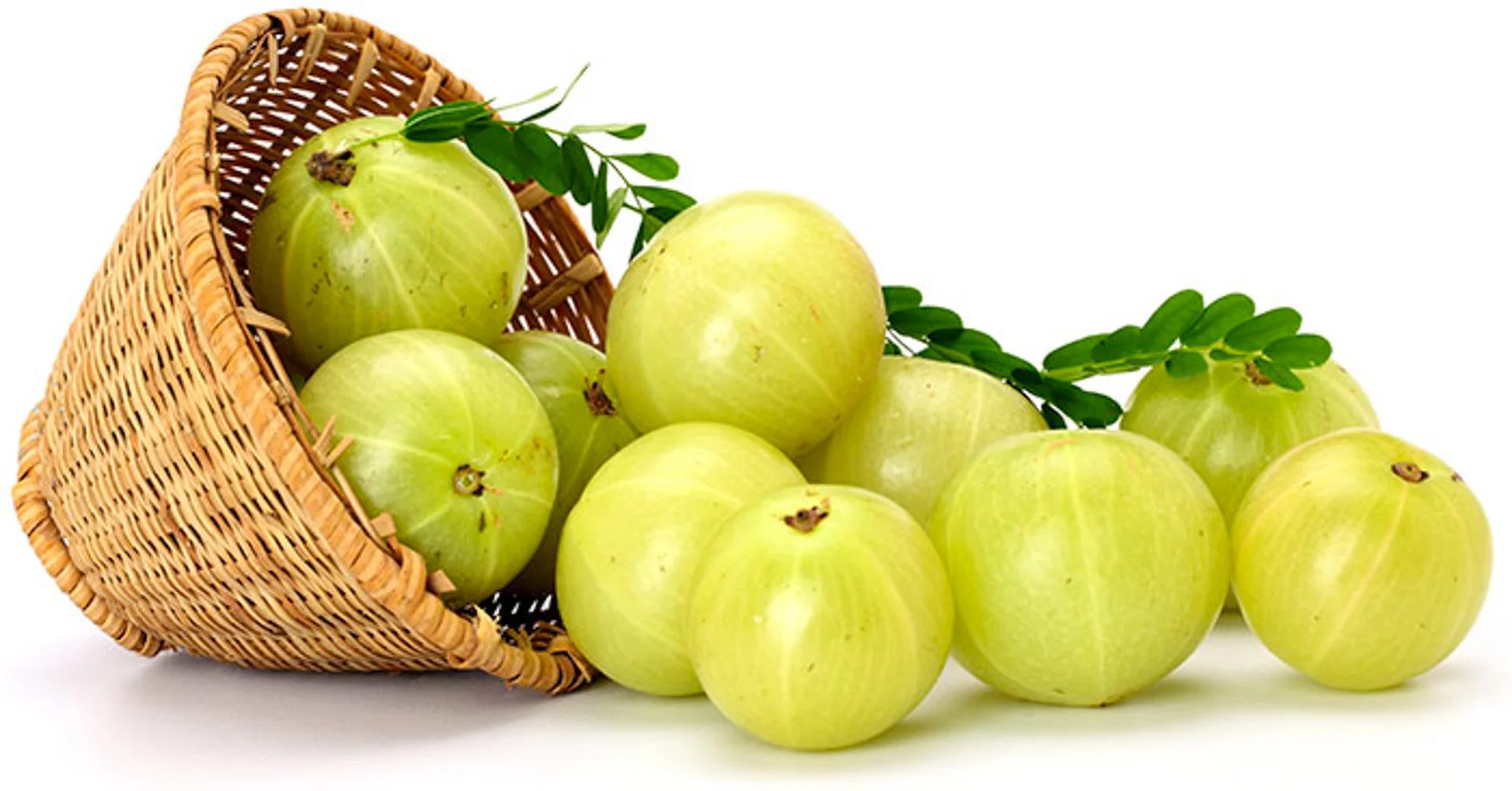 HarmonyNutraceuticals-AyurvedicPlants-2-2.jpg