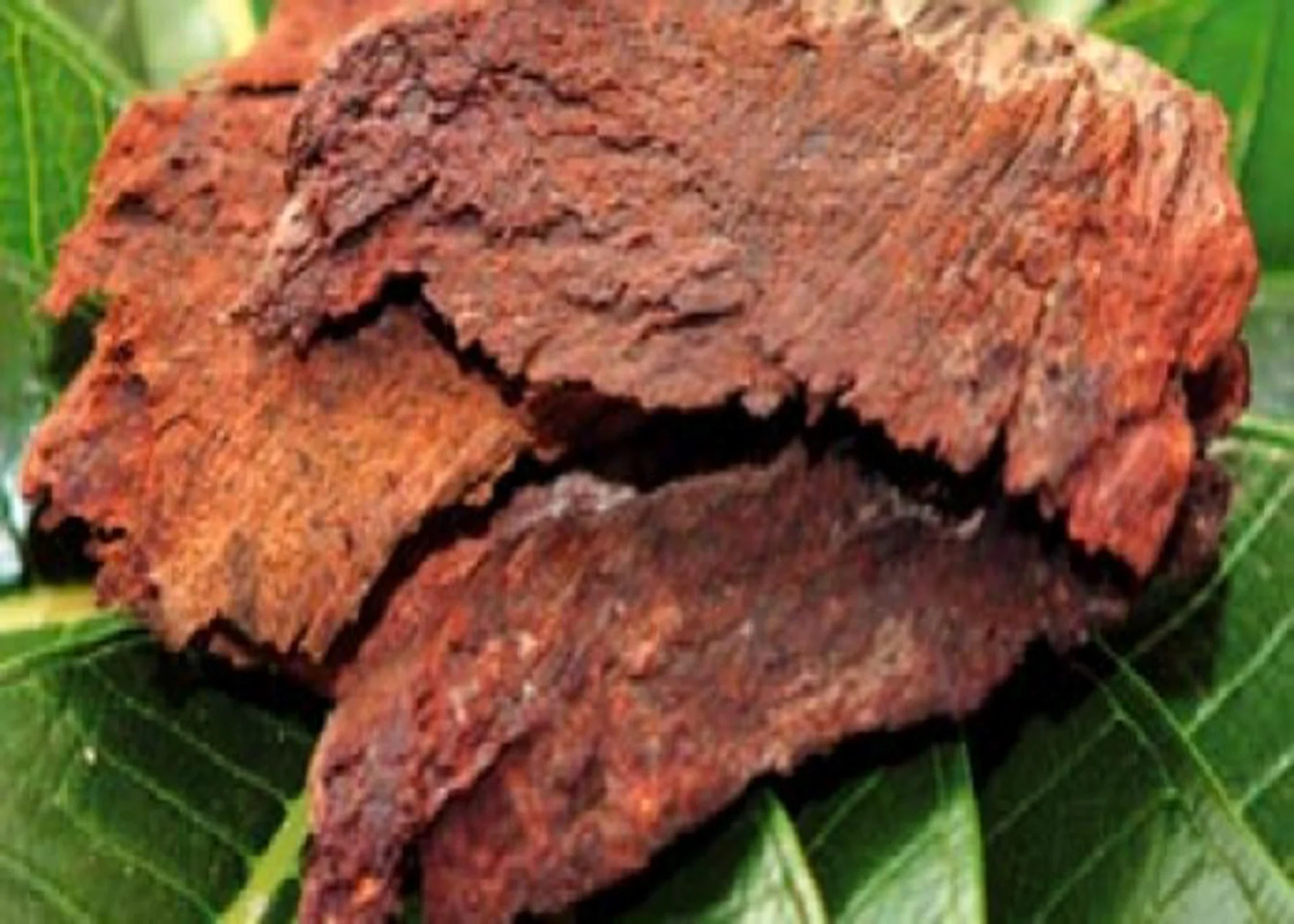 HarmonyNutraceuticals-AyurvedicPlants-3-2.jpg
