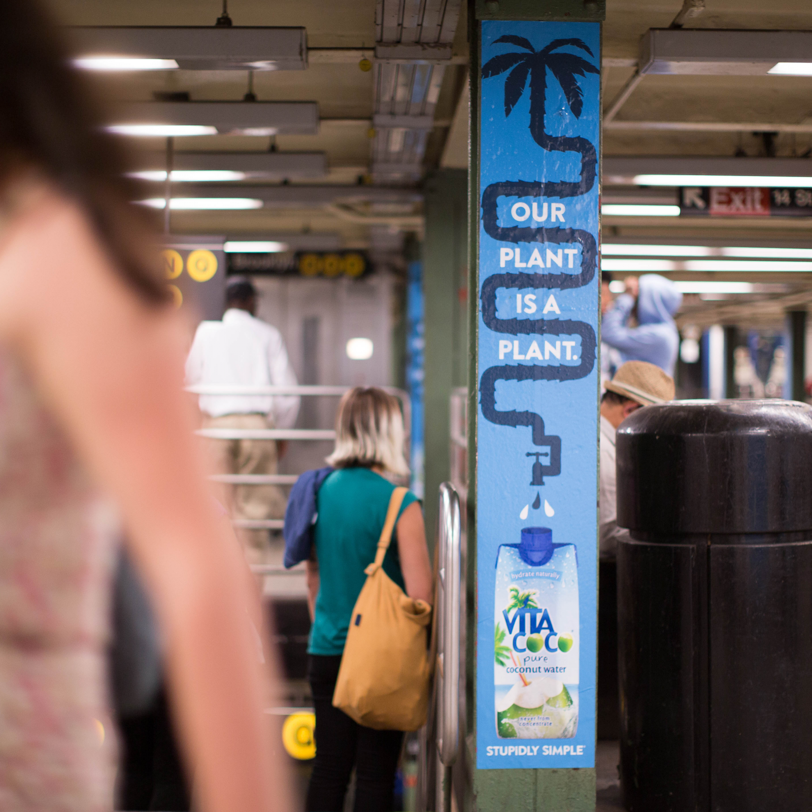 VC_subway_columns_plant.png