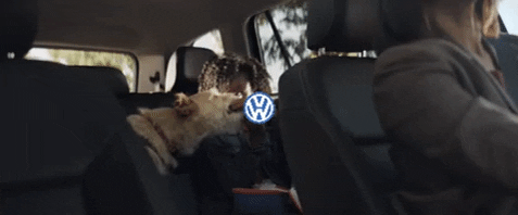 VW_gif.gif