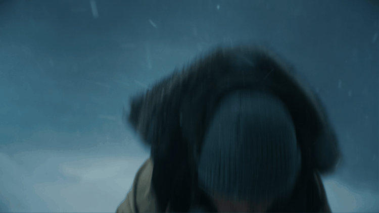 CSRB.gif