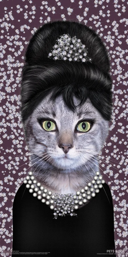 TTL126 PETS ROCK - Breakfast FRONT.jpg