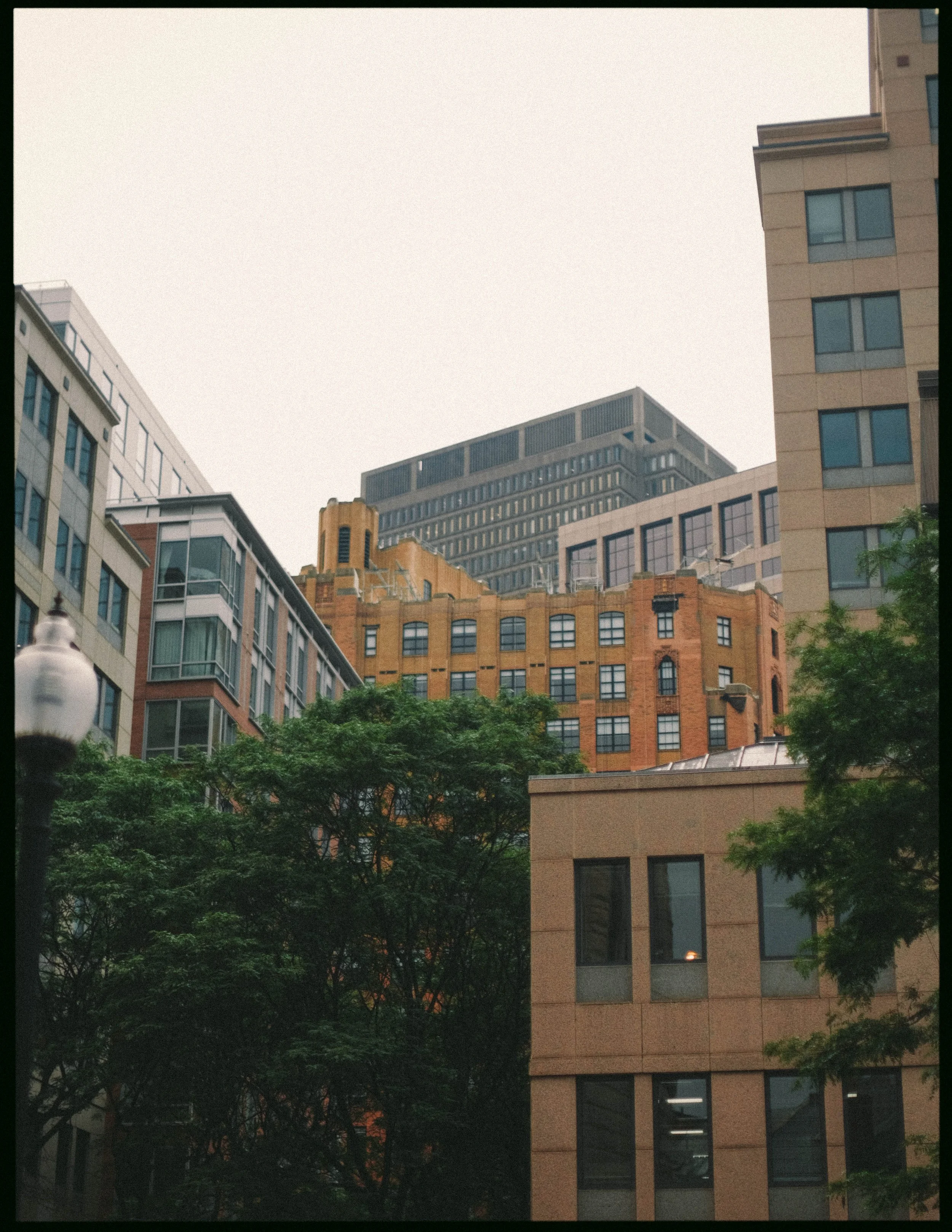 DSCF4015-3.jpg