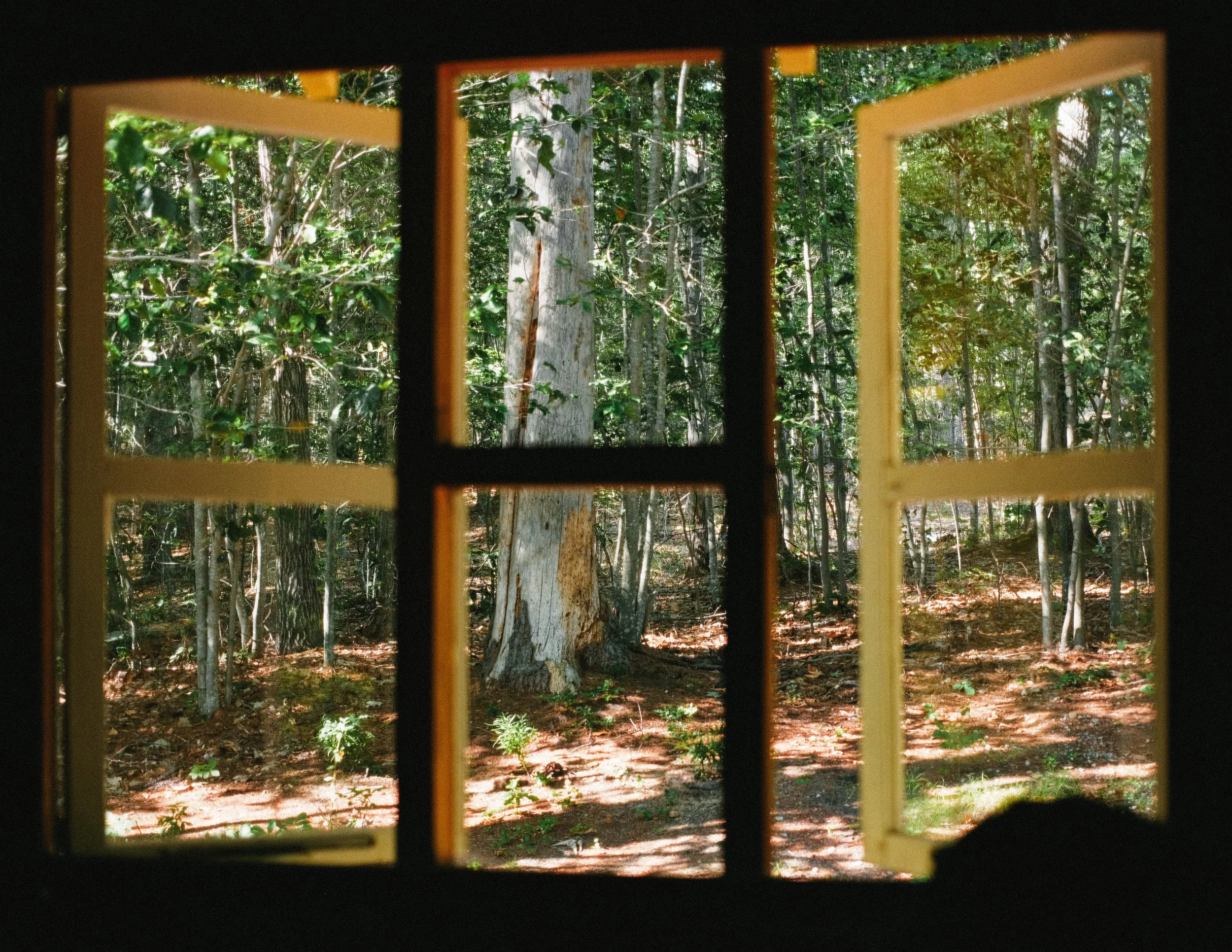DSCF4051.jpg